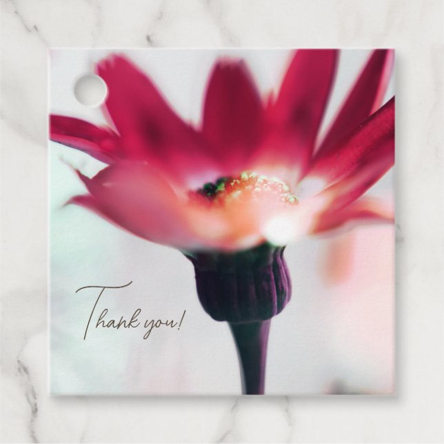 Etiquetas de Agradecimento (Frente)