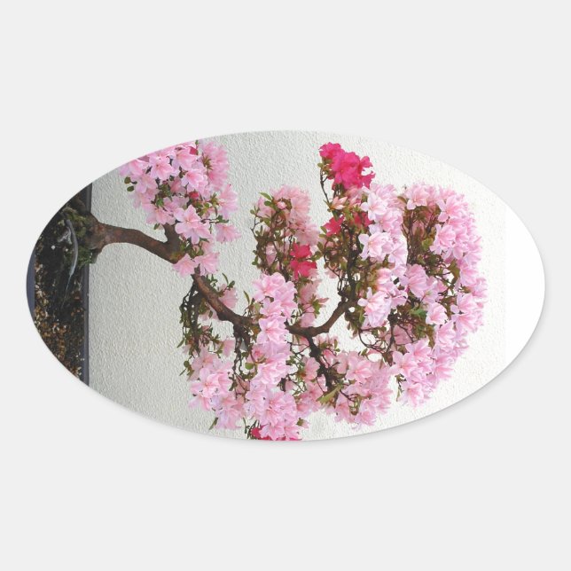 Etiquetas de árvore Bonsai rosa (Frente)