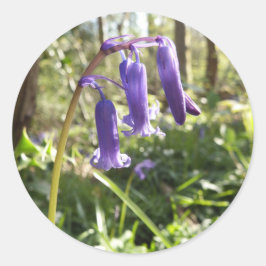 Etiquetas de Bluebells