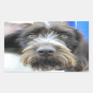 Etiquetas de cabelo do ponteiro do fio alemão