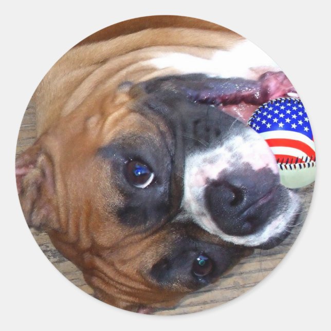 Etiquetas de caixa (Frente)