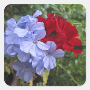 Etiquetas de Convite para Flores Azuis e Vermelhas
