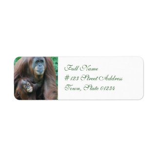 Etiquetas de Correio da Família Orangutan