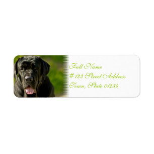 Etiquetas de Correio Preto Mastiff
