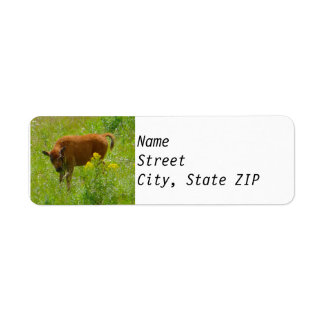 Etiquetas de Endereço de Devolução - Bison Calf Ye