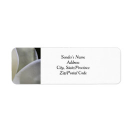 Etiquetas de Endereço de Devolução de Casamento da