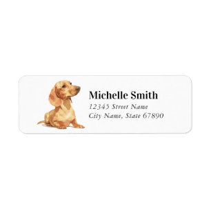 Etiquetas de Endereço de Devolução de Dachshund
