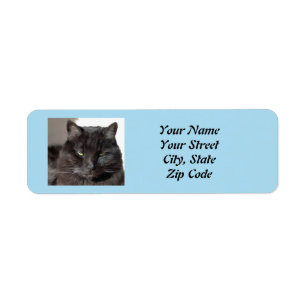 Etiquetas de Endereço de Devolução de Gato Preto
