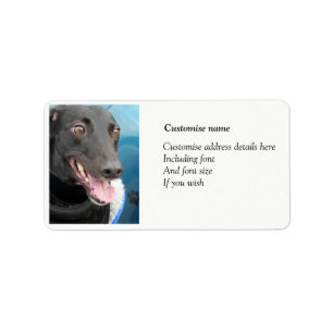 Etiquetas de endereço de galgos