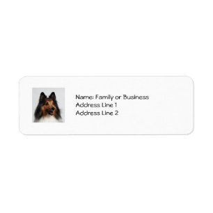 Etiquetas de endereço de Sheltie