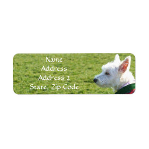 Etiquetas de endereço de Terrier branco de