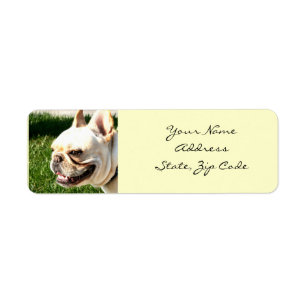 Etiquetas de endereço do buldogue francês