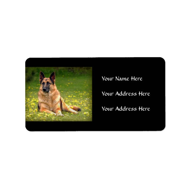 Etiquetas de endereço do german shepherd (Frente)