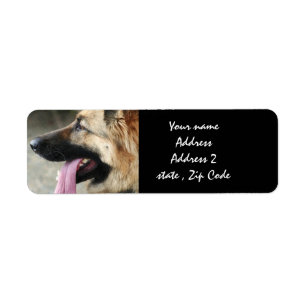 Etiquetas de endereço do german shepherd