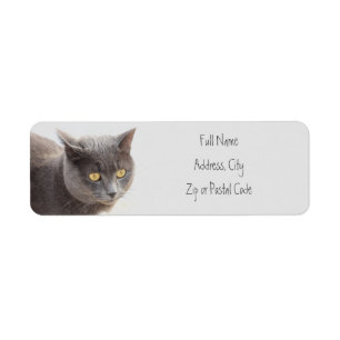 Etiquetas de endereço para animais de Kitty Cat