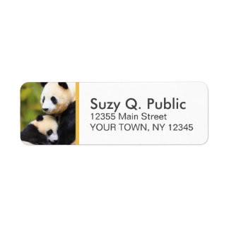 Etiquetas de Endereço Personalizadas de Urso Panda