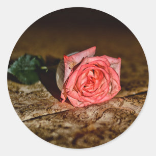Etiquetas de fecho do rosa