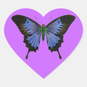 Etiquetas de forma de coração de borboleta azul