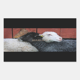 Etiquetas de HAMbyWG- - carneiros brancos das