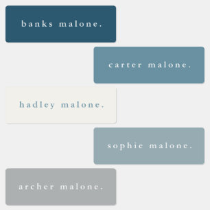 Etiquetas de nome à prova d'água do Arco-Íris Simp