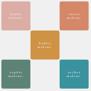 Etiquetas de nome à prova d'água do Arco-Íris Simp