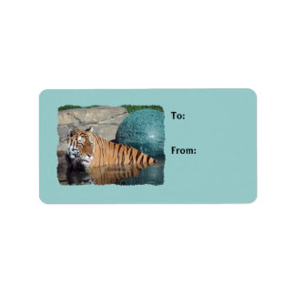 Etiquetas De Presente Azul De Foto Do Tigre Bengal