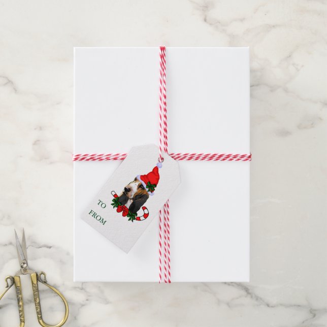 Etiquetas de Presente de Hound Basset (Com cordão)