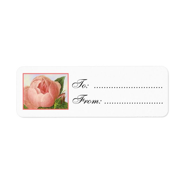 Etiquetas de Presente Personalizadas Pink Rosebud (Frente)