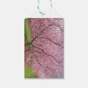 Etiquetas de presentes do Peach Blossom