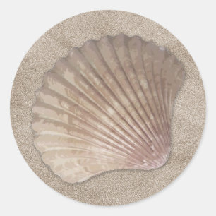 Etiquetas de Shell do mar