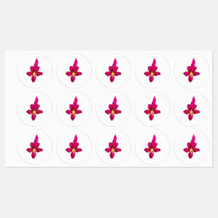 Etiquetas Design, Dourado claro, vermelho púrpura