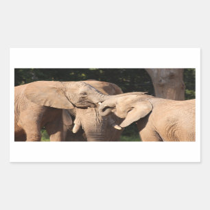 Etiquetas do amor do elefante