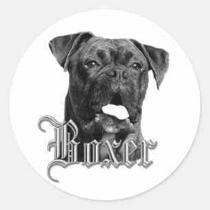 Etiquetas do cão do pugilista