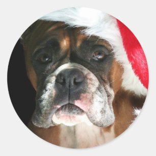 Etiquetas do cão do pugilista do Natal