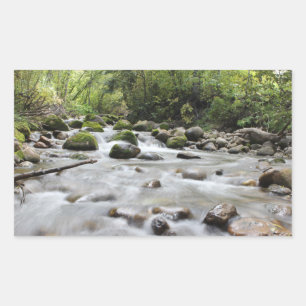 Etiquetas do córrego da floresta