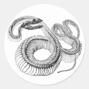 Etiquetas do esqueleto do cobra