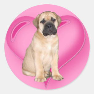 Etiquetas do filhote de cachorro de Bullmastiff do