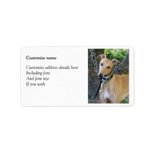 Etiquetas do galgo (p85)