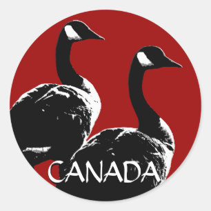 Etiquetas do ganso de Canadá das etiquetas da