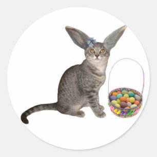 Etiquetas do gatinho da páscoa