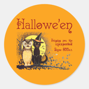 Etiquetas do gato e da coruja do vintage