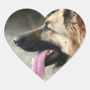 Etiquetas do german shepherd