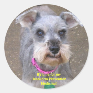 Etiquetas do lembrete da medicina de Heartworm