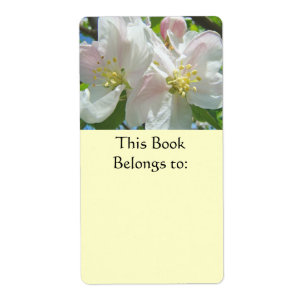 Etiquetas do Livro Este Livro pertence aos Rótulos