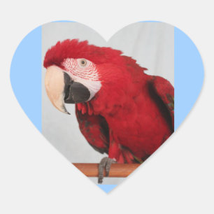 Etiquetas do Macaw