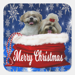 Etiquetas do Natal do tzu de Shih