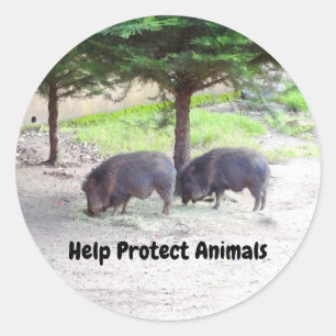 Etiquetas do Peccary #3 de Chacoan