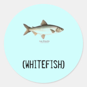 Etiquetas do peixe branco