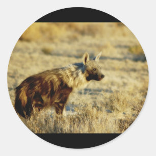 Etiquetas dos animais selvagens da hiena de Brown