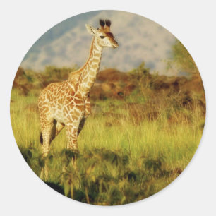 Etiquetas dos animais selvagens do girafa do bebê